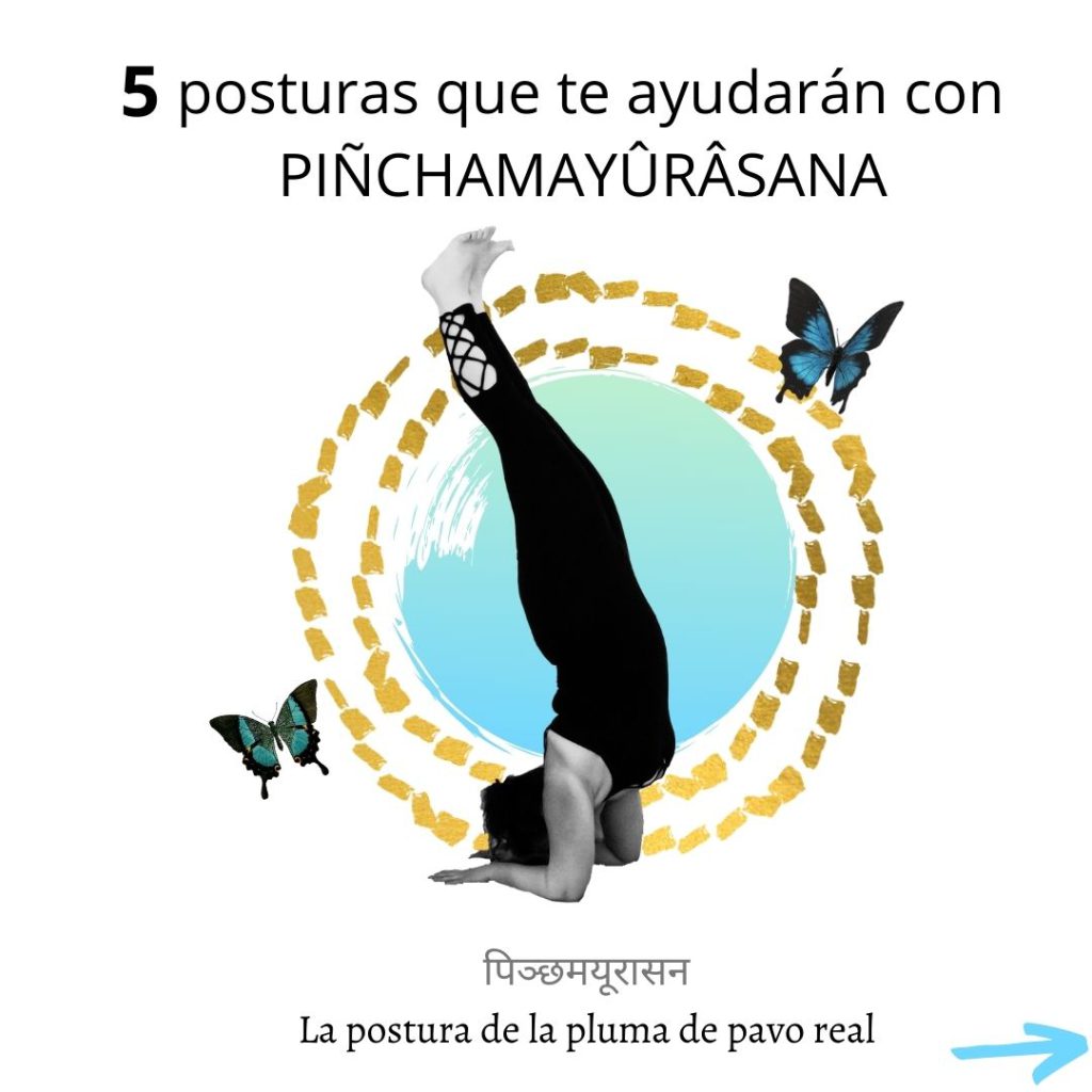 pincha mayurasana